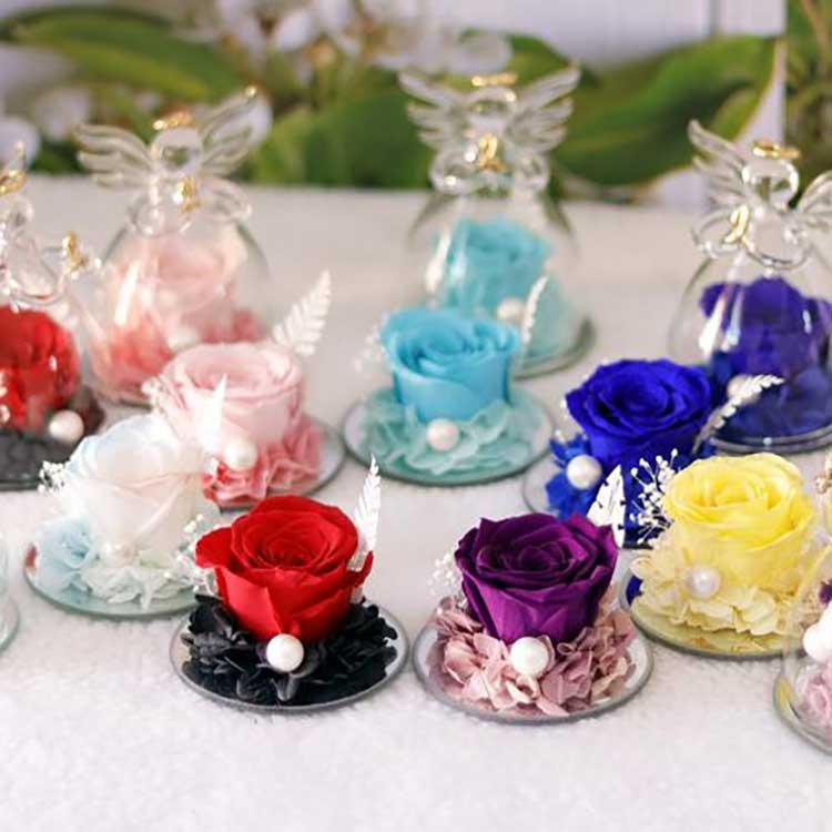 एंजेलिक शाश्वत गुलाब